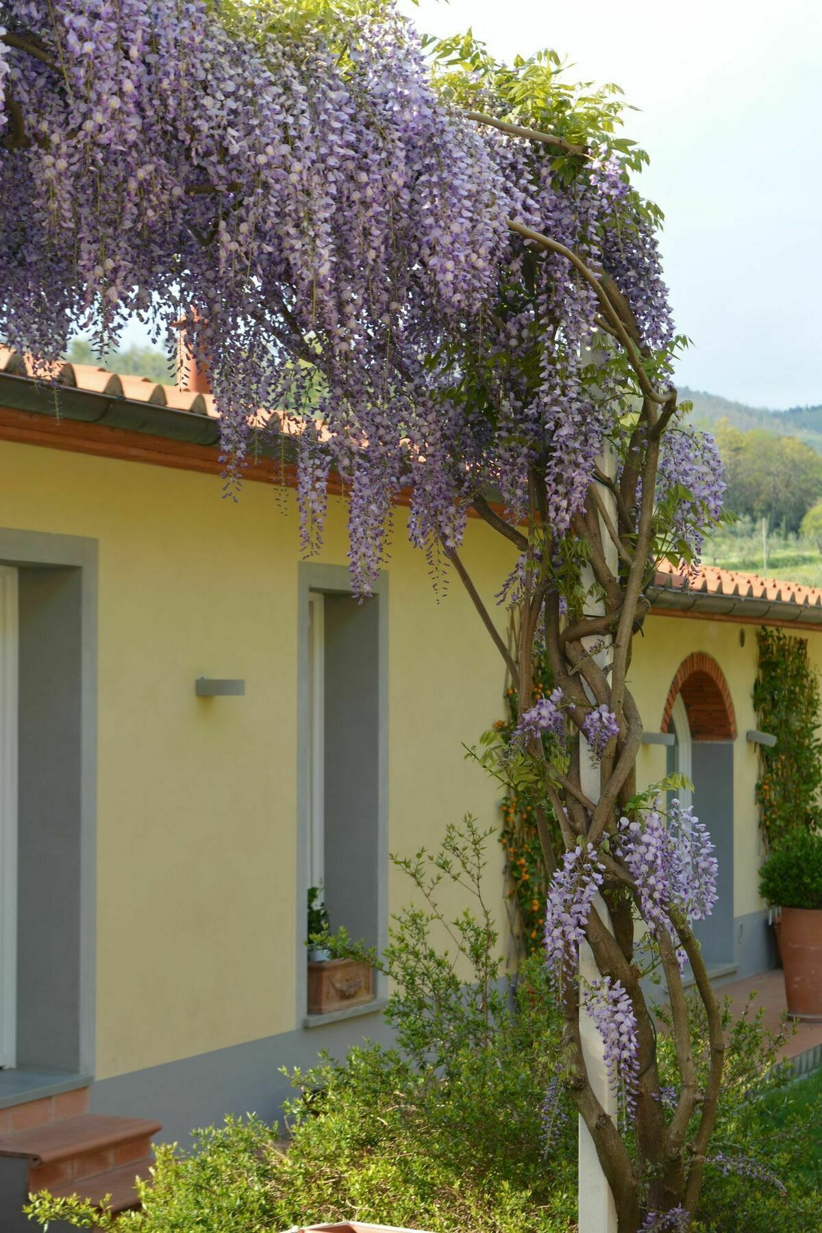 Podere Delle Fanciulle Pistoia Exterior photo